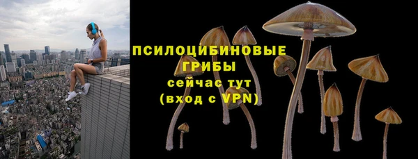 ГАЛЛЮЦИНОГЕННЫЕ ГРИБЫ Майский