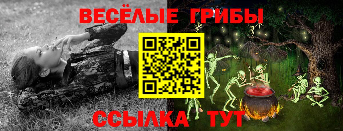 Галлюциногенные грибы Psilocybine cubensis  Вход с VPN  Батайск 