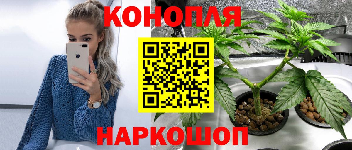 Каннабис планчик Батайск